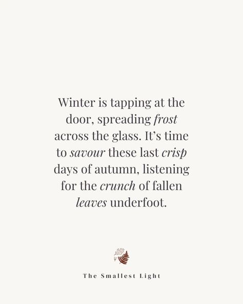 That autumn winter blend of clear, cold days, crimson sunsets and fading leaves. It's a winner. 🍁 #autumncore #noticepausetreasure #myodetoautumn #aseasonalyear #aseasonalshift #winteriscoming #thatautumnmagic Winter Aesthetic Quotes, Winter Blend, Cottagecore Winter, Winter Cottagecore, Winter Tumbler, December Quotes, Fairycore Aesthetic, Winter Quotes, Autumn Quotes