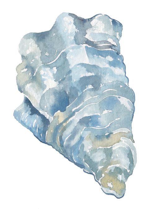 oyster watercolor design for coastal wedding invitation Oyster Watercolor, Coastal Watercolor, Art Tutorials Watercolor, Watercolor Water, Painted Shells, Coastal Wedding, Watercolor Inspiration, Watercolor Drawing, Shell Art