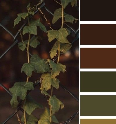 Dark Earth Color Palette, Olive Green Paint Palette, Dark Earth Tone Color Palette, Forest Color Palette Earth Tones, Dark Earthy Color Palette, Dark Cottagecore Color Palette, Dark Forest Color Palette, Green Color Palette Aesthetic, Earth Tone Color Palette Living Rooms