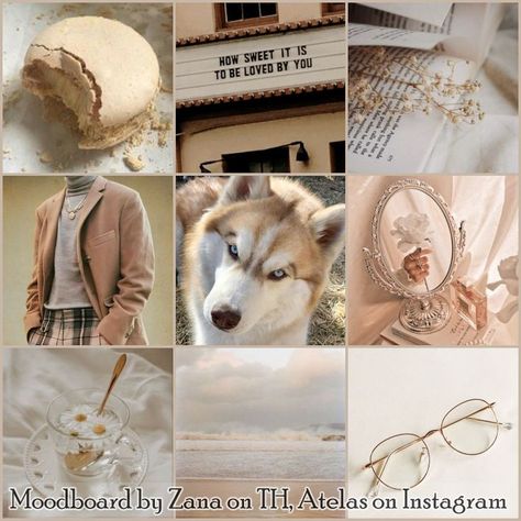 Cream Color Aesthetic, Aesthetic Husky, Warrior Cat Memes, Aesthetic Layout, Adopt Idea, Dog Aesthetic, Color Aesthetic, Slytherin Aesthetic, Coffee Theme