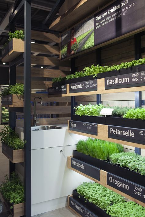 ©studiomfd, Instore, Herb Garden, retail, design, green, eco, albert heijn, XL (www.studiomfd.com) Indoor Vegetable Garden, Hydroponic Grow Systems, Indoor Farming, Grocery Store Design, Supermarket Design, Farm Store, Backyard Greenhouse, Fruit Shop, Diy Store