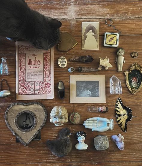 Clutter Core, Uncertain Future, Aquarius Season, What's In My Bag, Cabinet Of Curiosities, Small Objects, Maximalism, Girl Things, In My Bag