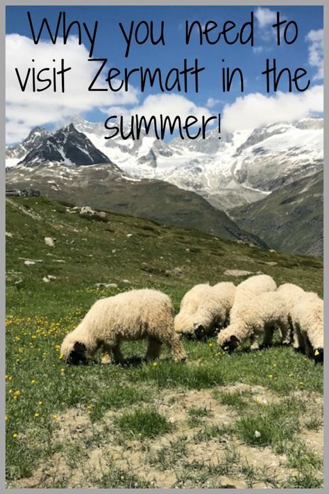 Six Reasons Why You Need To Visit Zermatt In The Summer - What A Girl Eats Zermatt Switzerland Summer, Zermatt Summer, Black Nose Sheep, Trips For Couples, Things To Do In Switzerland, Switzerland Summer, Trip To Switzerland, Summer Travel Destinations, Zermatt Switzerland