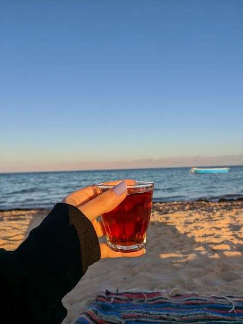 Camping Morning Ocean, Sea View, Drinking Tea, Rose Wine, Alcoholic Drinks, Wine, Tea, Drinks, Glass