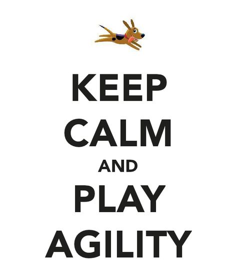 Agility! Agility Quotes, Deaf Dog, Agility Training For Dogs, Dog Yard, Dog Exercise, Dog Mixes, Agility Training, Dog Agility, Dog Runs