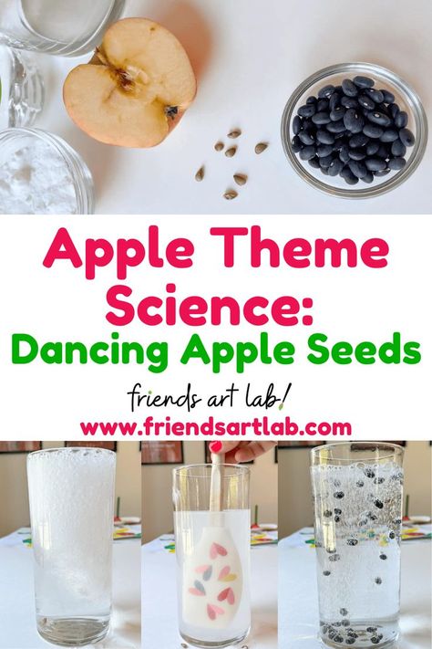 Seeds Preschool, Apple Art Projects, Science Projects For Preschoolers, Apple Day, Paper Apple, Infant Lesson Plans, Dried Black Beans, Apple Unit, Baking Soda Vinegar