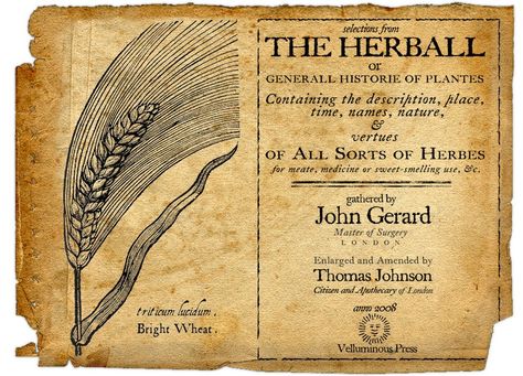 History of Herbal Medicine, part 3 Ancient Books, Naturopathy, The Tudor, Historical Artifacts, Herbal Medicine, Herbal Remedies, Botanical Illustration, Vintage Books, Botany