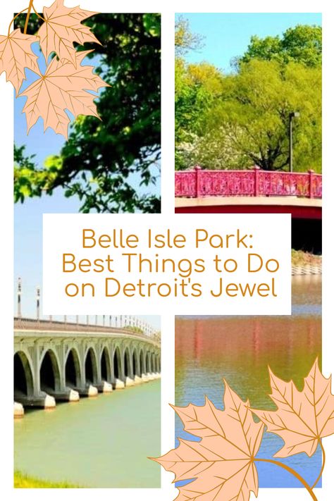 Belle Isle Detroit, Visit Detroit, Shady Tree, Belle Isle, Island Park, Beautiful Park, Canoe And Kayak, Nature Center, Cultural Experience