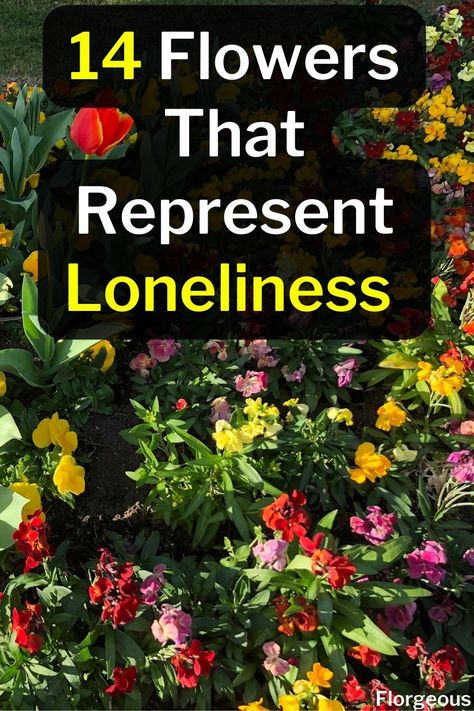 lonely flowers Flower Meaning Love, Flowers With Dark Meaning, Tattoos For Loneliness, Tattoos Lonliness, Tattoos About Loneliness, What Flowers Mean, Flowers That Symbolize Healing, Flowers That Symbolize Love, Flowers That Mean Friendship