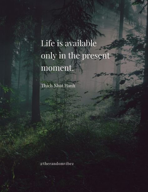 #deepquotes #wisewords #wordsofwisdom #positivequotes #ThichNhatHanhQuotes #Quotes #liveinthepresent #inspiringquotes Zen Quotes Peace, Zen Buddhism Quotes, Tranquility Quotes, Tao Te Ching Quotes, Maharaj Painting, Zen Proverbs, Thich Nhat Hanh Quotes, Buddhist Wisdom, Zen Quotes