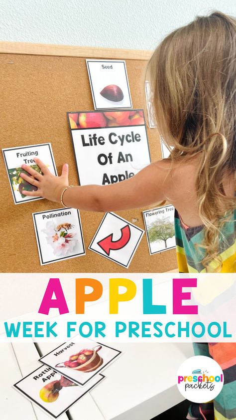 Teach your preschoolers about the apple lifecycle with this engaging group activity! During circle time, children can assemble the stages of an apple’s life on the bulletin board, making learning interactive and fun. #AppleLifecycle #PreschoolCircleTime #GroupLearning Preschool Harvest, Circle Time Activity, Life Cycle Of An Apple, Beginning Of The Year Activities, Apple Stand, Apple Theme Activities, Preschool Apple Activities, Apple Week, Apple Life Cycle