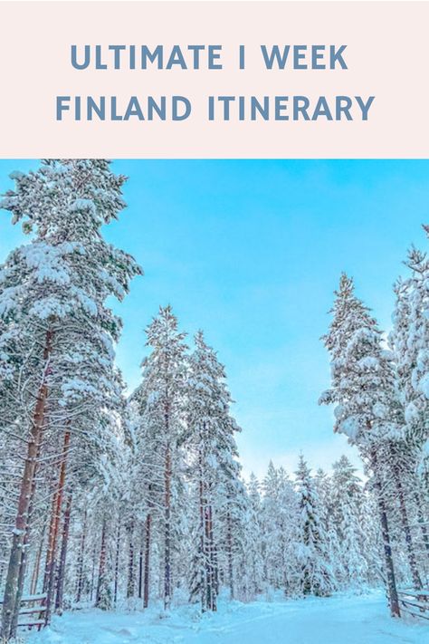 From where to go, what to see and do while you’re there and where to stay, this is the full lowdown on the ideal 7 day Finland itinerary... Finland Itinerary, Domestic Flights, Travel Europe, Best Places To Visit, Winter Travel, Travel Insurance, Where To Go, Day Trip, Cool Places To Visit