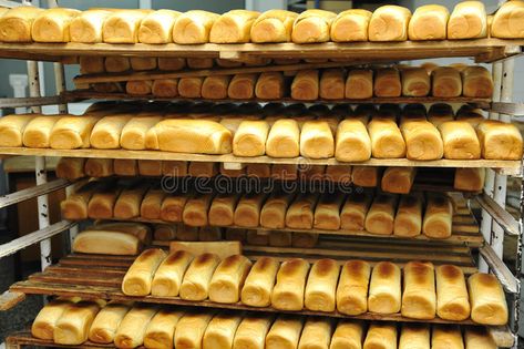 Bakery Factory, Bread Factory, Bread Bakery, Food Factory, Bakery Food, Fresh Products, Bakery Products, Food Production, Dark Kitchen