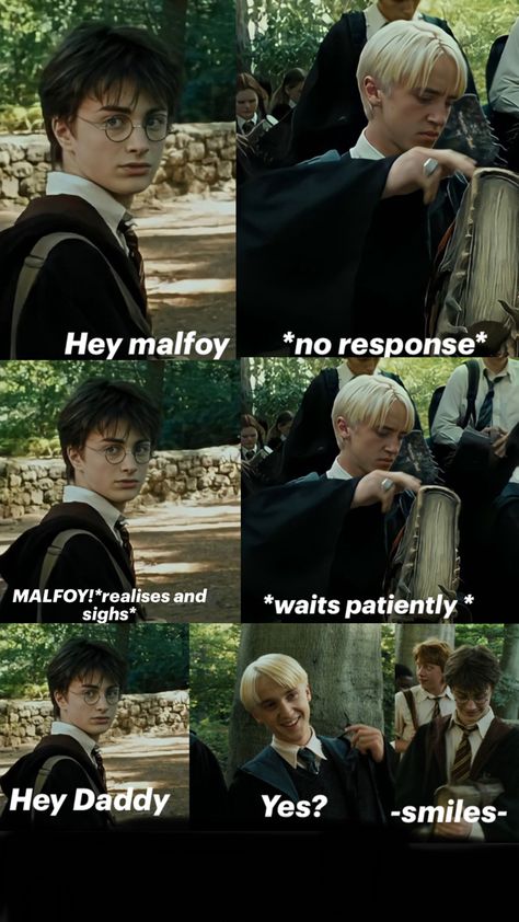 Harry Potter Kiss, Draco Malfoy Funny, Harry Potter Curses, Harry Potter Parody, Drarry Fanart, Funny Harry Potter Jokes, Harry Draco, Cute Harry Potter, Harry Potter Memes Hilarious