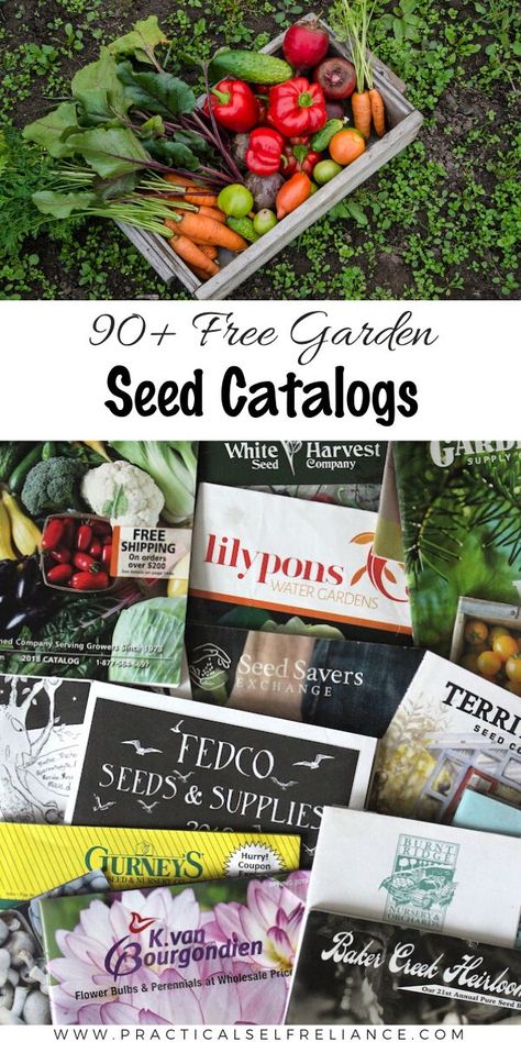 Indoor Gardening Supplies, Free Seeds, Diy Container Gardening, Working In The Garden, Garden Catalogs, Container Garden Design, Survival Gardening, Heirloom Vegetables, Seed Catalogs