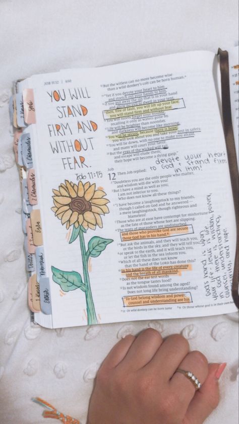 Job 9 Bible Journaling, Book Of Job Bible Journaling, Book Of Job Bible Study, She Reads Truth Bible Journaling, Job Bible Journaling, Job In The Bible, Job Bible Study, Bible Recap, Bible Goals