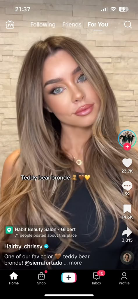 Honey Vs Ash Blonde, Taupe Hair Color Blonde, Ashy Toner For Brown Hair, Teddy Bronde Balayage, Teddy Bear Balayage, Rich Bronde Haircolor, Teddy Bear Bronde Balayage, Teddy Bear Brunette, Teddy Bear Bronde Hair