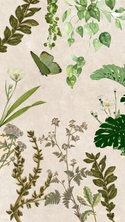 Plant Aesthetic Poster, Plant Collage Wallpaper, Vintage Plant Aesthetic Wallpaper, Botanical Aesthetic Wallpaper, Botany Aesthetic, Collage Plants, Plants Collage, Plant Collage, Pad Wallpaper