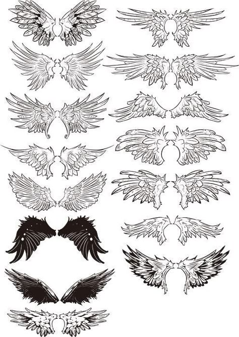 Drawing Sketches Tattoo, Wings Ideas, Types Of Wings, Tattoo Wings, Sketches Tattoo, Wings Drawing, Wing Design, Drawing Tattoo, Wings Art