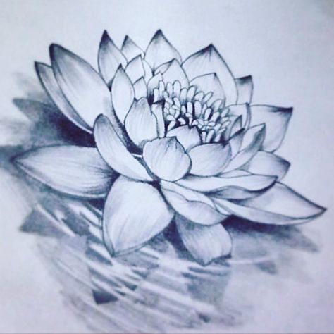 Lotus flower Tato Mandala, Wildflowers Tattoo, Lotusblume Tattoo, Lotus Flower Drawing, Lotus Drawing, Water Lily Tattoos, Lily Tattoo Design, Water Tattoo, Shape Tattoo