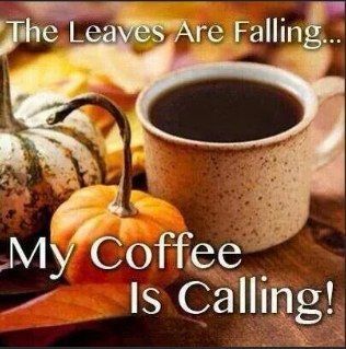 I Love Coffe, Saturday Coffee, Coffee Quotes Morning, Coffee Facts, Coffee Barista, Brewing Equipment, Local Coffee Shop, Autumn Quotes, Good Morning Coffee