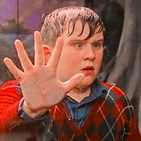 Harry Potter Dudley, Dudley Dursley, The Philosophers Stone, Philosopher's Stone, Philosophers Stone, Harry Potter Icons, Philosophers, Harry Potter, Collage