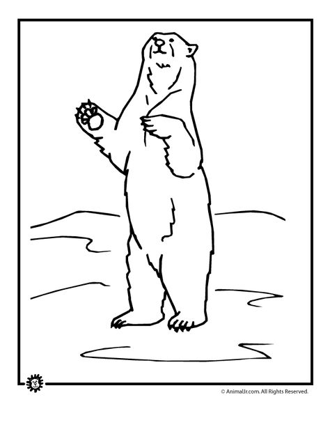 standing-polar-bear-colorin.gif (680×880) Standing Bear Drawing, Simple Polar Bear Tattoo, Simple Polar Bear Drawing, Polar Bear Drawing Reference, Bear Line Drawing, Polar Bear Line Drawing, Polar Bear Sitting Drawing, Polar Bear Tattoo, Drawing Stand