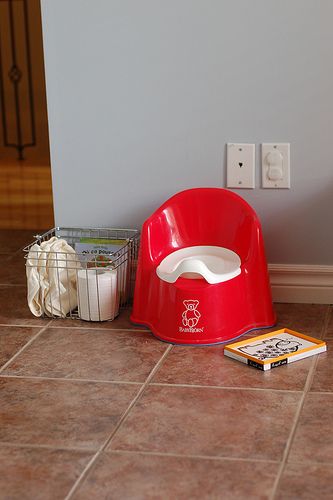 Potty station | Flickr - Photo Sharing! Potty Training Methods, Potty Training Boys, Potty Time, Potty Train, Potty Training Tips, Montessori Ideas, Montessori Baby, Toilet Training, Practical Life