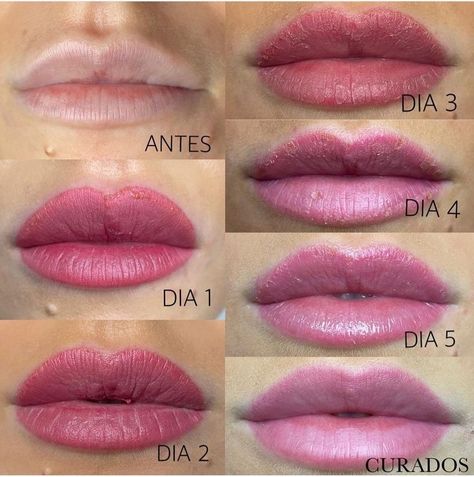 Cosmetic Lip Tattoo, Lip Color Tattoo, Bb Lips, Pmu Lips, Lip Healing, Lip Permanent Makeup, Day Eye Makeup, Brow Tattoo, Permanent Eyeliner