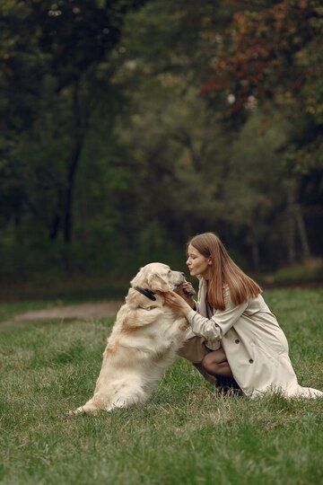 Family Dog Photos, Dog Photography Poses, Moose Family, Dog Foto, Pet Portraits Photography, Photos With Dog, Photo Woman, Dog Photoshoot, 강아지 그림