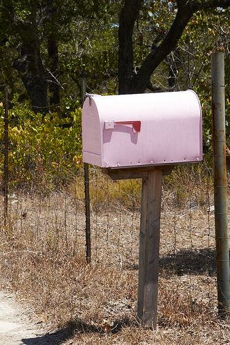 Pink Mailbox Pink Mailbox, Country Mailbox, Us Mailbox, Pink Obsession, Letter Boxes, Mail Boxes, Pink Stuff, Pink Things, You've Got Mail