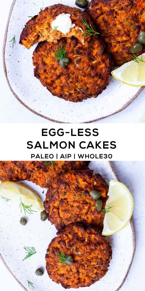 Aip Mayo Recipe, Aip Seafood Recipes, Whals Protocol, Aip Salmon, Aip Lunch, Paleo Low Fodmap, Autoimmune Protocol Diet Recipes, Easy Salmon Cakes, Autoimmune Diet Recipes