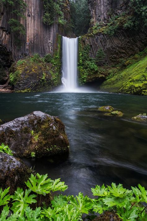 Toketee Falls Oregon | Photo: Birdo nrbphoto.com — with Solana Montes. Toketee Falls, The Most Beautiful Flowers, Waterfall Pictures, Flowers Romantic, Oregon Waterfalls, Beautiful Beach Pictures, Beauty Of Flowers, Waterfall Photography, Oregon Travel