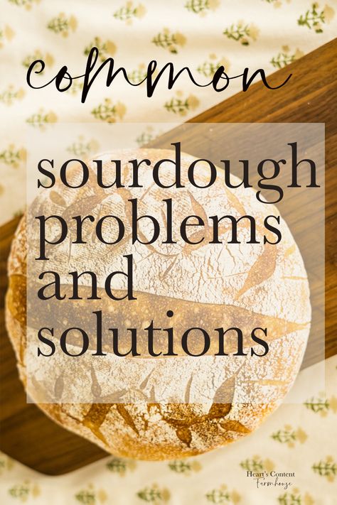 Recipe Using Sourdough Starter, Sourdough Bread Starter, Dough Starter, Sourdough Bread Sandwiches, Sourdough Starter Discard Recipe, Sourdough Sandwich, A Loaf Of Bread, Homemade Sourdough Bread, Bread Starter