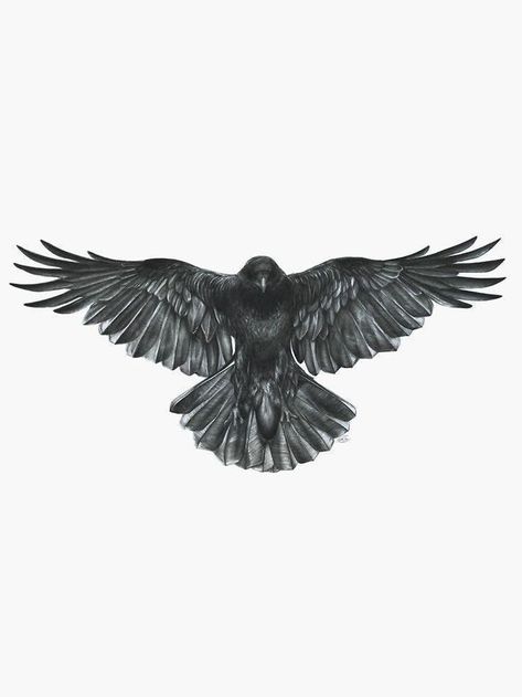 Crow In Flight, In Flight, Black Bird, A Black, The Back, Flight, Tattoos, White, Black