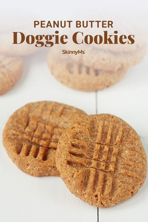 Your Pup’s New Favorite Snack: Peanut Butter Dog Treats with Coconut Flour Dog Friendly Peanut Butter Cookies, Dog Desserts, Doggie Cookies, Penuche Fudge, Pup Treats, Dog Cookie Recipes, Animal Treats, Doggy Treats, Dog Treats Homemade Easy