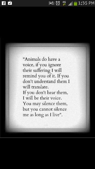 Reason why I want to be a vet tech. Animals need a voice Not One More Vet, Vet Tech Week Quotes, Vet Tech Humor Quotes, Vet Tech Inspirational Quotes, Vet Med Quotes, Bartending Quotes, Vet Tech Tattoo Ideas, Vet School Humor, Vet Tech Aesthetic