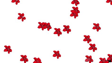 Red Carrd Backgrounds Gif, Red Pixel Gif, Red Header Gif, 2000s Gif, Long Gif, Flower Header, Star Gif, Birthday Wishes Flowers, Animated Videos