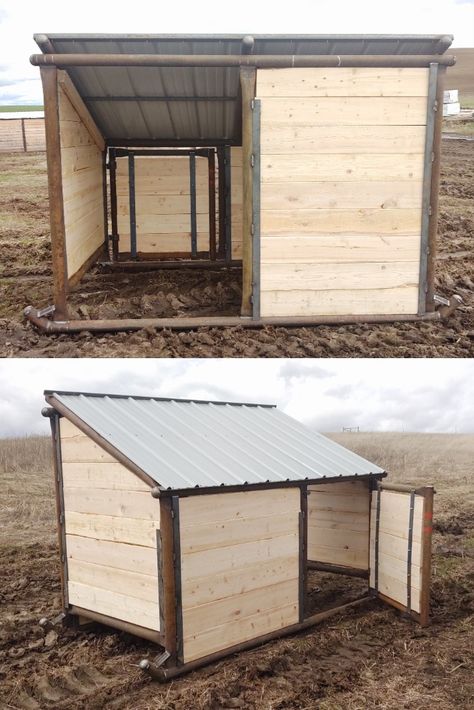 Palouse Ranches also builds smaller shelters for dogs and small livestock, such as goats and pigs! This custom shelter is partially enclosed for protection against the elements, has a door in the back, and is easy to move! Calf Shelter Ideas, Portable Livestock Shelter, Moveable Goat Shelter, Mini Cow Shelter, Movable Goat Shelter, Small Goat Shelter, Portable Goat Shelter, Sheep Shelter Ideas, Donkey Enclosure