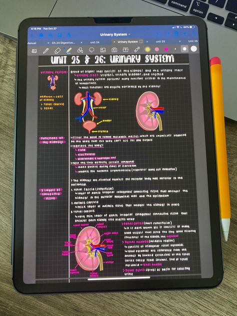 Med School Ipad Notes, Ipad Pro Setup Aesthetic, Med Notes Ipad, Ipad Air Goodnotes, Ipad Pencil Ideas, Ipad 11 Pro Aesthetic, Notes In Ipad, Apple Pencil Pro, Ipad And Apple Pencil Aesthetic