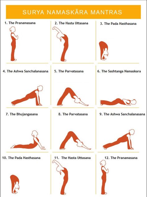 Surya Namaskara, Outline Pictures, Mind Strong, Complete Workout, Surya Namaskar, Showing Gratitude, Sun Salutation, Exercise Routines, Yoga Asanas