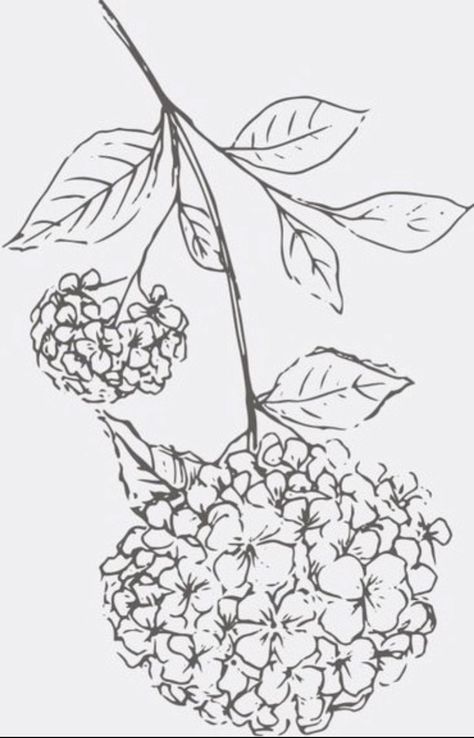 placement: left hip Hydrangea Tattoo, Wildflower Tattoo, Tattoos For Black Skin, Cute Little Tattoos, Memorial Garden, Tattoo Outline, Outline Drawings, Ankle Tattoo, Little Tattoos