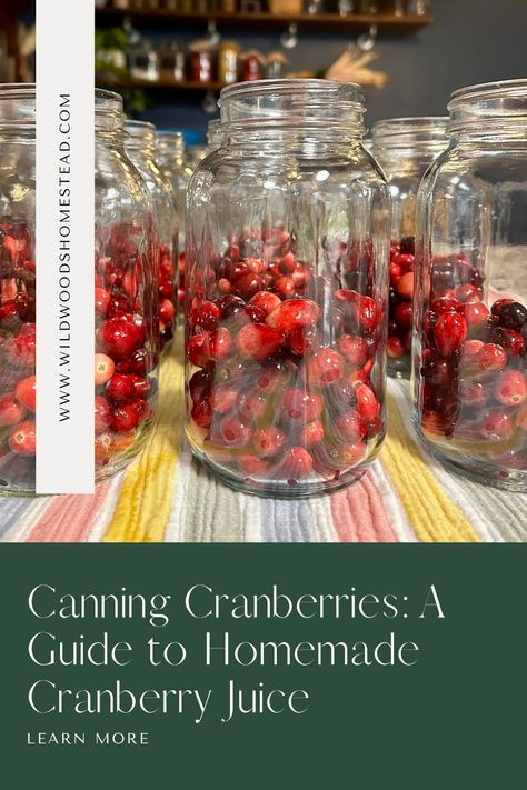 Get ready for fall with homemade canned cranberry juice! 🍂 Whether you’re new to canning or a pro, this guide will walk you through the process to preserve fresh cranberries for delicious, homemade juice and more! Perfect for a refreshing treat, or creating a delicious mocktail. Check out the full guide on canning cranberries and bring some natural goodness to your pantry! Make Your Own Cranberry Juice, Canning Cranberries, Canned Cranberry Juice, Canning Cranberry Juice, Homemade Cranberry Juice, Canned Cranberries, Fresh Cranberry, Homemade Juice, Pressure Canner