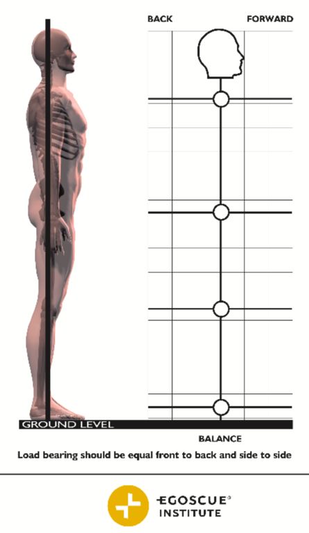 Posture Alignment of Maryland is an affiliate of The Egoscue Method. Posture Alignment, Neck Ache, Knock Knees, Better Posture, Sleep Pattern, Hip Pain, Move Your Body, Life Experiences, Nature Design