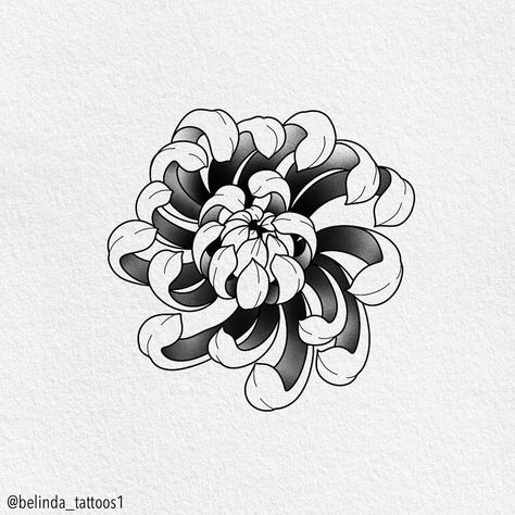 Was going to play on the PlayStation before dinner, but the whole network is down. 😭 So figured I might as well post this awesome chrysanthemum that’s up for grabs. I’ll only tattoo this once, dm to book in. 😊 . . . #chrysanthemum #chrysanthemumtattoo #chrysanthemumtattoodesign #floraltattoo #botanical #oldskool #boldwillhold #tradworkers #tradflower #flowertattoo #westbyfleet #woking #newhaw #tattootime #tattooideas #femaletattooartist #tattooflash #availabletattoo #inkspiration Crisantemo Tattoo, Chrysanthemum Drawing, Chrysanthemum Tattoo, Blackwork Designs, Circle Tattoo, Japanese Dragon Tattoos, Female Tattoo Artists, Tattoo Apprentice, Incredible Tattoos