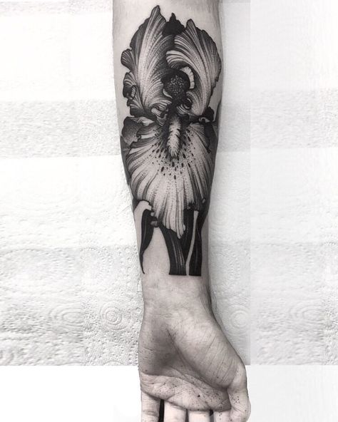 KELLY VIOLENCE Iris Flower Tattoo, Iris Tattoo, Evil Tattoo, Tasteful Tattoos, Flower Sleeve, Flower Tattoo Sleeve, Iris Flower, Black Iris, Cover Up Tattoo