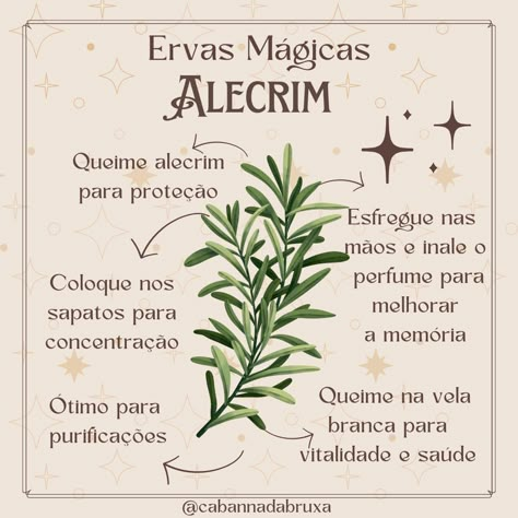 Witch Herbs, Magia Das Ervas, Natural Magic, Moon Witch, Witch Books, Witch Aesthetic, Green Witch, Plant Design, Reiki