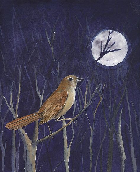 nightingale painting  Rusty Harden Nightingale Bird, Potted Palms, Indoor Greenery, Bird Artwork, Romantic Poetry, Nightingale, Tree Wall Art, Tree Wall, Ravenclaw