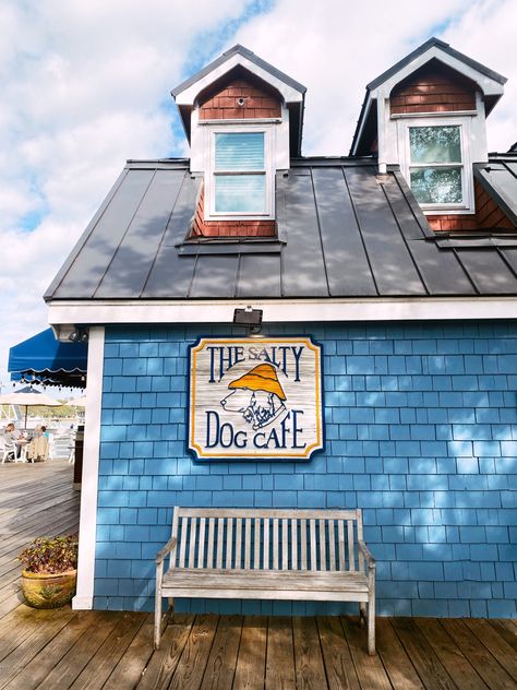 The salty dog cafe The Salty Dog Cafe, Salty Dog Cafe, Folly Beach Sc, England Beaches, Dog Cafe, Rocky Point, Beach Towns, Bedside Cabinets, Salty Dog