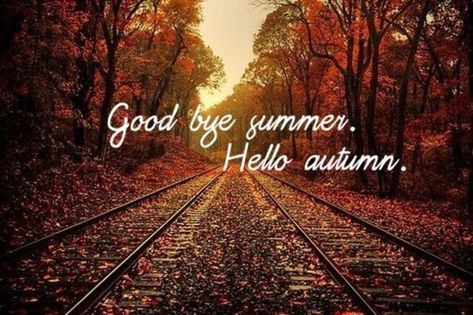 10 Welcome Fall Quotes Good Bye Summer, September Images, Welcome September, First Day Of Autumn, Goodbye Summer, Hello October, Good Bye, Autumn Quotes, Happy Fall Y'all